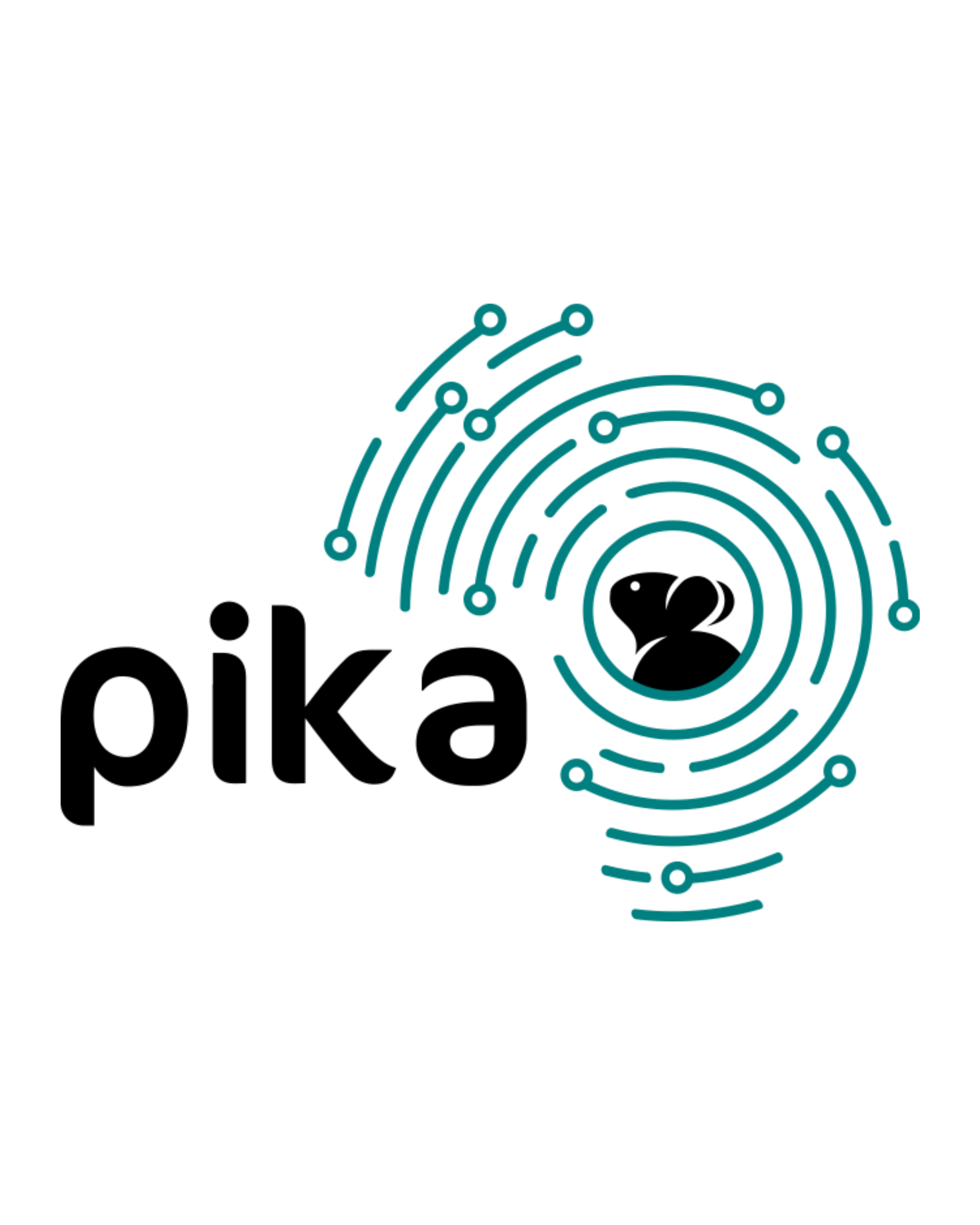 Pika Insight App logo